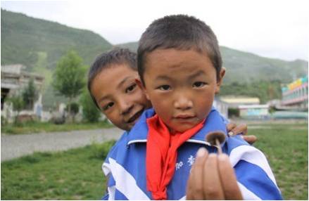 �ɂ��W(xu��)���������(f��)����W(xu��)��֧��꠆T�����_(d��)�Ѻ����f��һֻСĢ�����挦�㌍�ĺ��ӂ���֧��꠆T������ϣ���ǡ��������҂�������҂��������S������