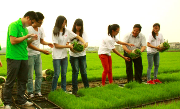 ��ꎎ����W(xu��)Ժ���Gɫ���ۡ����`�־Ը����ˮ�����g�M���w�ʽ������