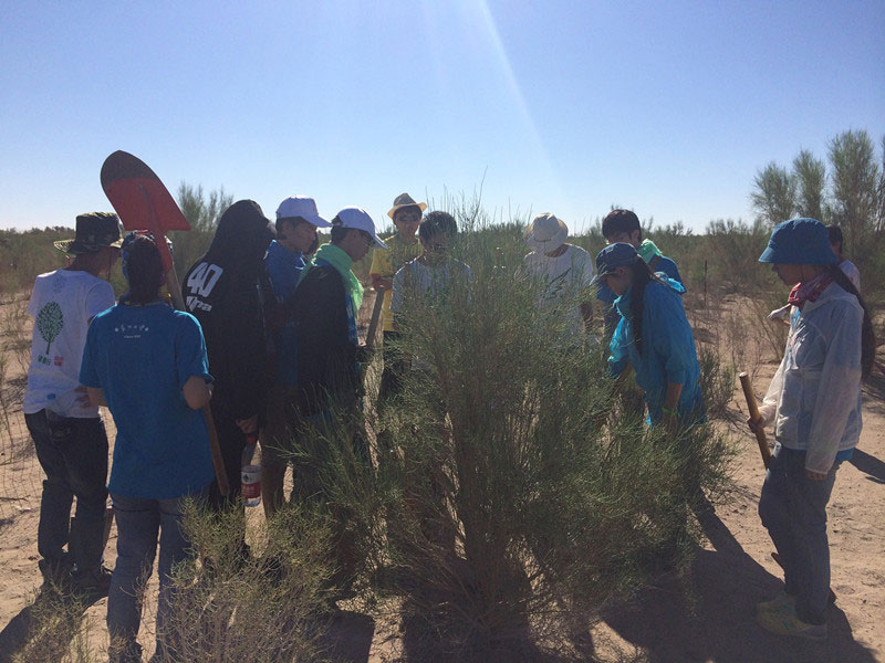 ������Ҫ��һ���ļ��ɺͽ�(j��ng)�(y��n)��ͬ�W(xu��)���_(k��i)ʼ������һƬ�����ַ��ز����^�m(x��)�����[�ص�����