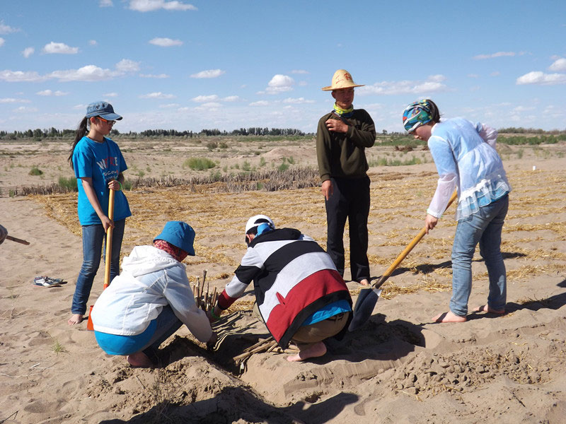 �@�N1.5��Ҋ�������ݸ�������ɳЧ����������^4��5���͕��L�g��������Ҫ�����a����