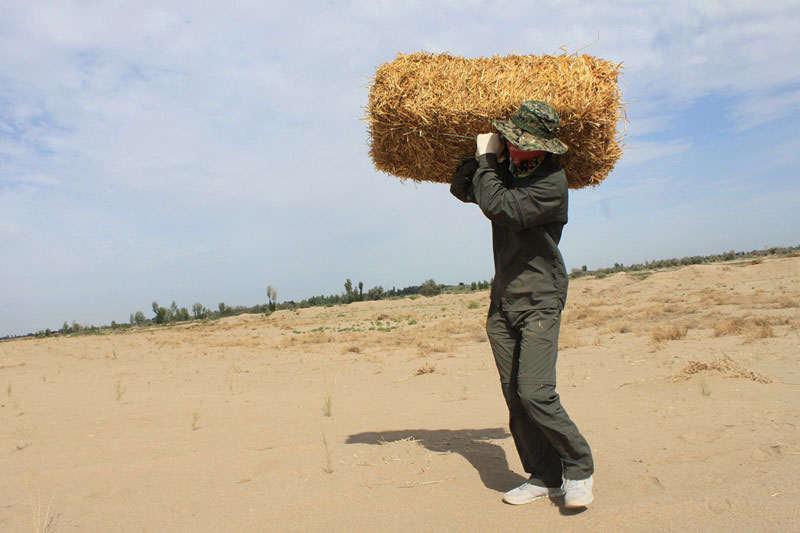 �F(tu��n)�T���i�������������ϳ����������������؟(z��)����