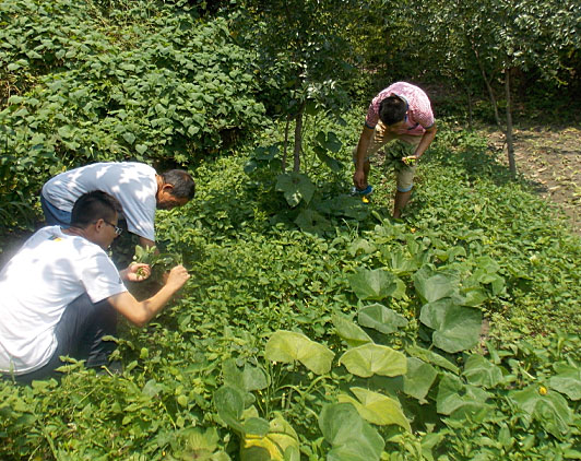 �ڶ��죬�(du��)�T���_ʼ�������B(t��i)�r(n��ng)���w�(y��n)�r(n��ng)�����������ժ����