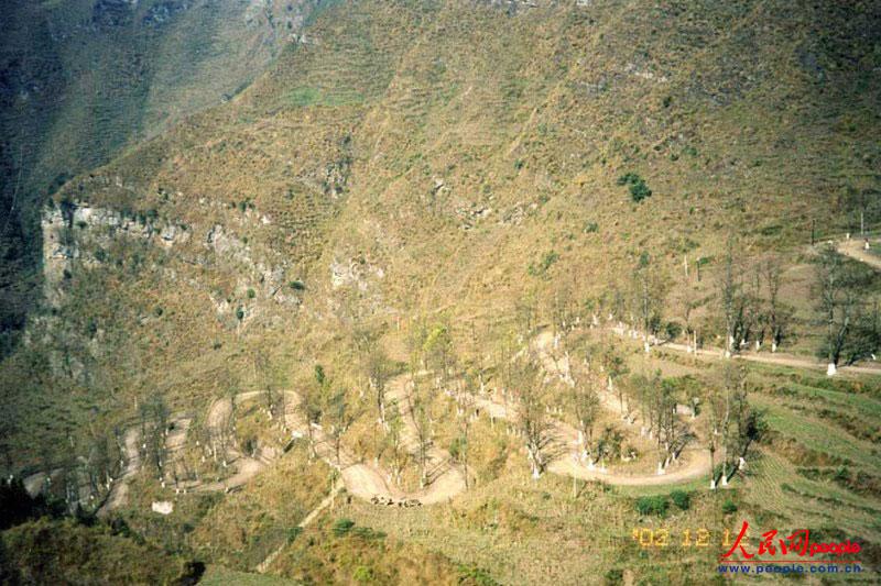 ��¡��24���ա�֮������ꐁ���?j��n)zӰ�� 