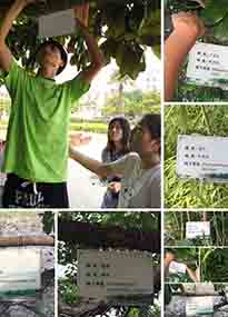 �K���r(n��ng)�W(xu��)Ժ�O(sh��)ӋУ�@ֲ����Ƭ�������K�r(n��ng)�Gɫ���}