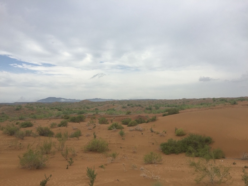 �v����ɳĮ�޾W(w��ng)������ݷ����ﲼ�M�[�d��ɳ��ֲ����