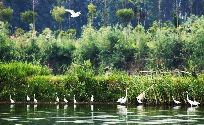 ͯԒ�ϼң���������Ԋ(sh��)�����Ϙ�(sh��)���f����