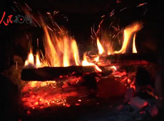 �t��t����~����������ʳ���ρ�(l��i)