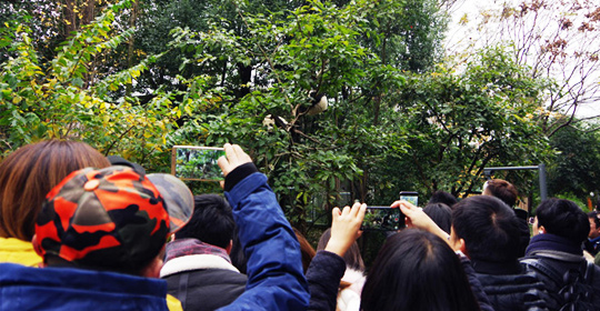 �@�����ӵ������ɶ����W(w��ng)�j(lu��)���ˁ��c(di��n)ٝ