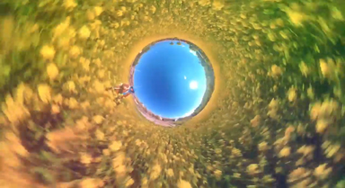 換個(gè)視角看油菜花盛開(kāi)，能有多壯觀(guān)