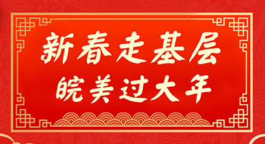 “皖”美過大年